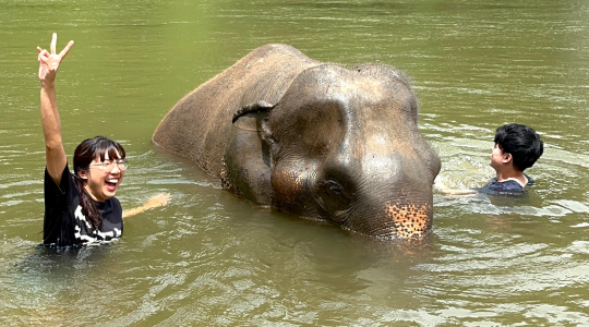 ゾウとの川遊び